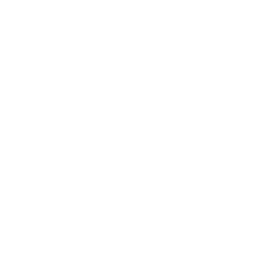 IDeaS Revenue logo